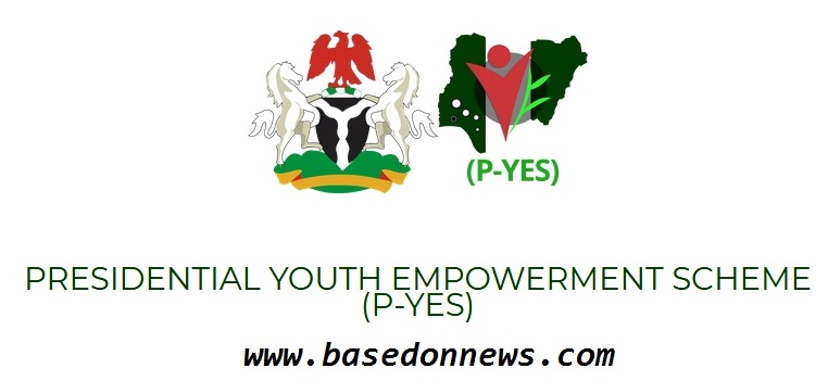 pyes - presidential youth empowerment scheme