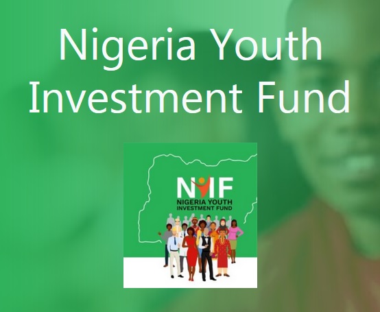 nigeria youth investment fund (nyif)