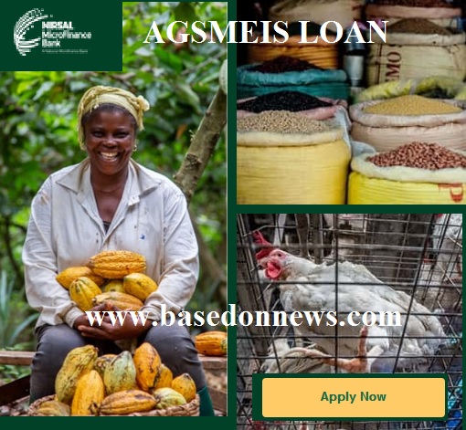 agsmeis loan application