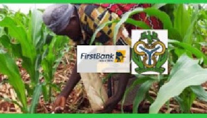 first bank cbn agriculture loan