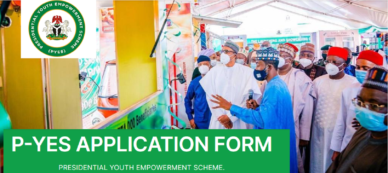 pyes presidential youth empowerment scheme