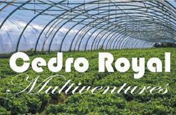 Cedro Royal Multiventures