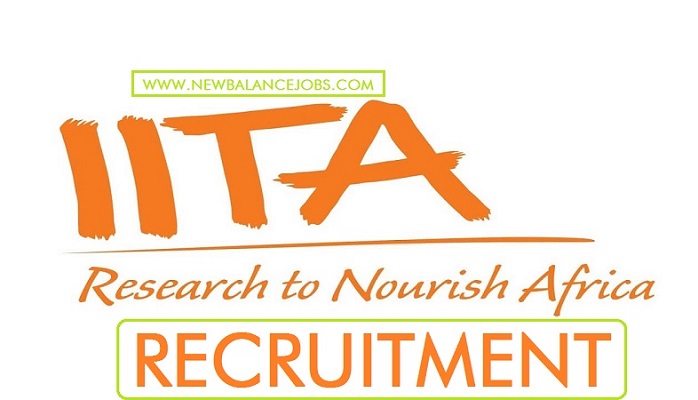 Knowledge and Capacity Development the International Institute of Tropical Agriculture (IITA) Job Recruitment