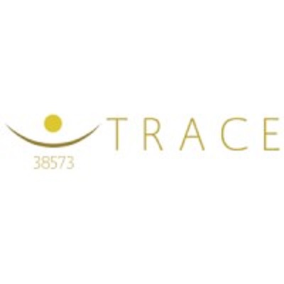 Trace Consult Limited