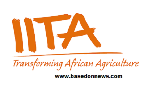 The International Institute of Tropical Agriculture (IITA)