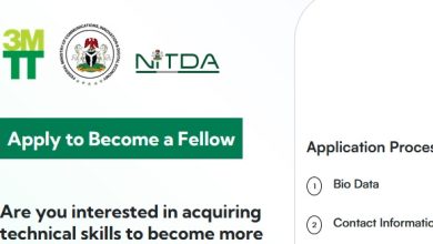 Nigeria 3 Million Technical Talent (3MTT)