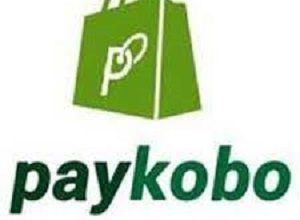Paykobo.com Paid Internship