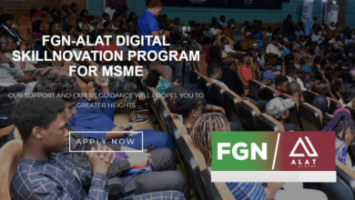 Application For The FGN-ALAT Digital Skillnovation Program Cohort 2 2024