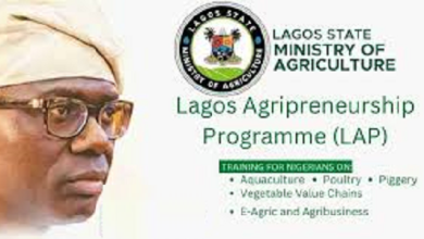 Lagos State Agripreneurship Training Program 2024