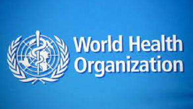 World Health Organization (WHO) Recruitment 2024